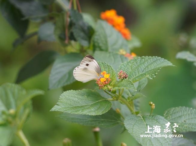 12fc8dcc7cc94eb7823baa0a29bebdff.jpg 12fc8dcc7cc94eb7823baa0a29bebdff.jpg