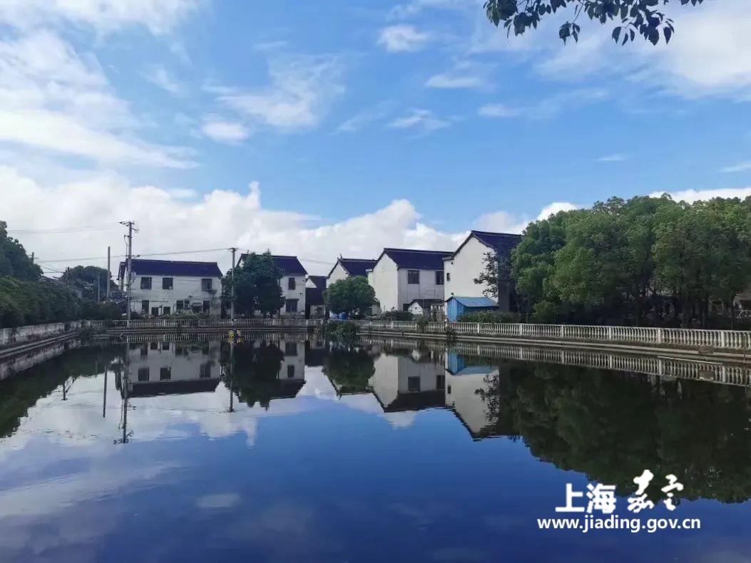 16a30789a7c7459088058839d083e9a3.jpg 16a30789a7c7459088058839d083e9a3.jpg