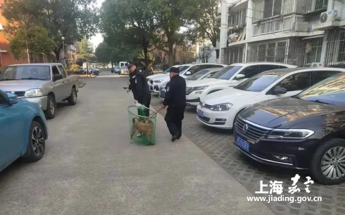 2730e494256b45f384535d7bb2a77563.jpg 2730e494256b45f384535d7bb2a77563.jpg