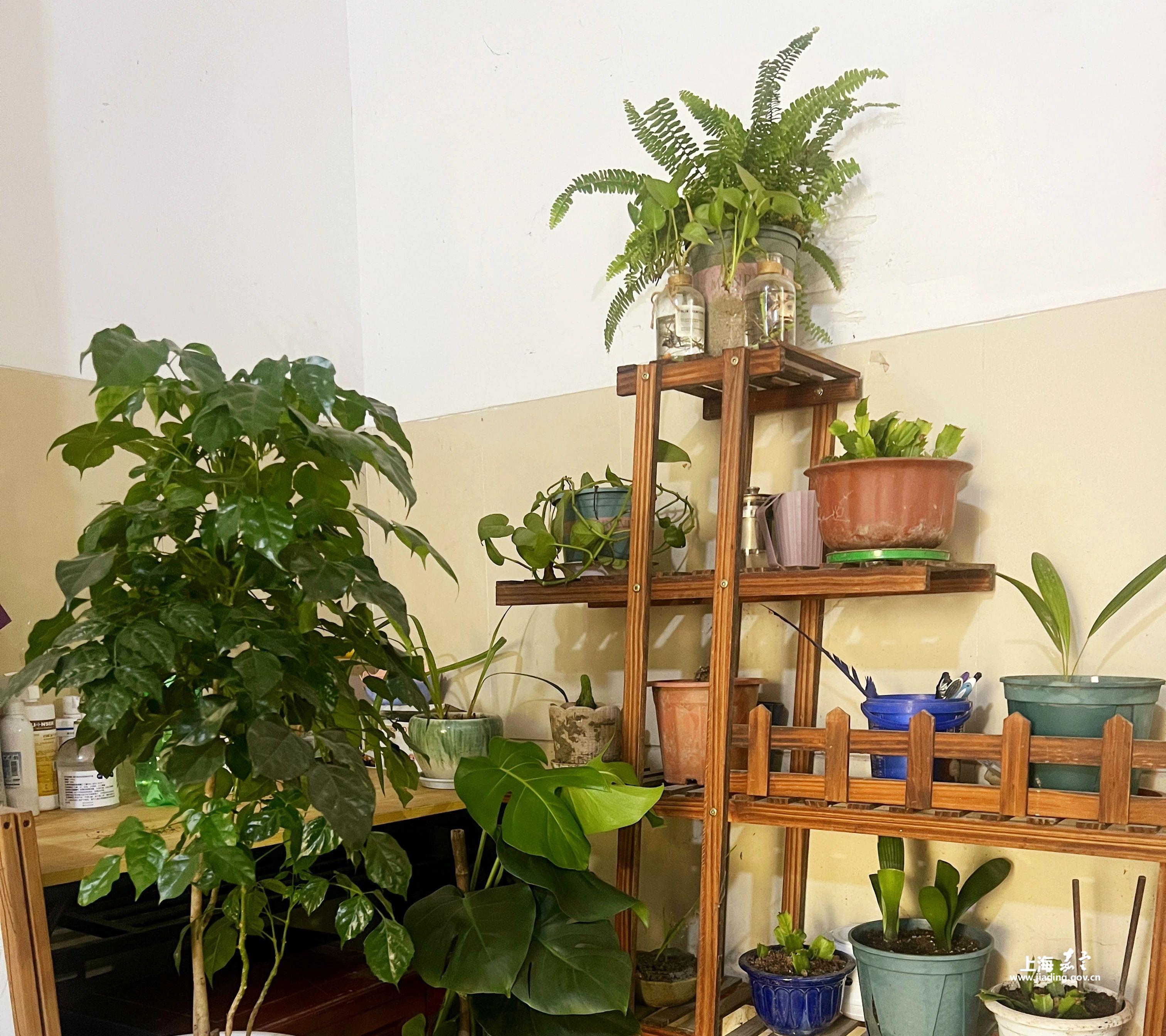 320f1e9d08ed4294b40ca1b4ecb7e4c7.jpg 320f1e9d08ed4294b40ca1b4ecb7e4c7.jpg