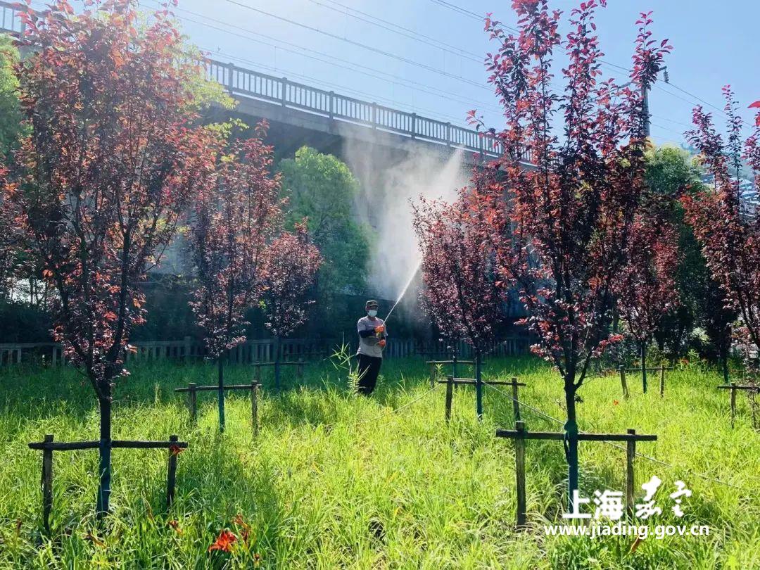 39a78c0f5fc74f8f91ba74454c0e598a.jpg 39a78c0f5fc74f8f91ba74454c0e598a.jpg