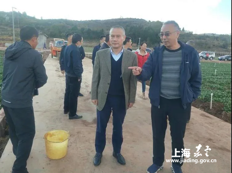 4afdc78df4eb4ea6bb7ca68d75362f55.png 4afdc78df4eb4ea6bb7ca68d75362f55.png