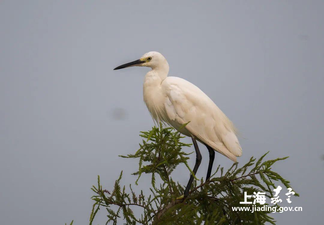 8467b021cde24d9492cb012a383df13f.jpg 8467b021cde24d9492cb012a383df13f.jpg