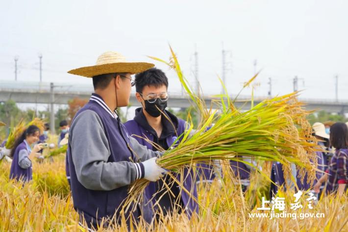 8614ae13df1e4b9eb7d9f231bcea1fdc.jpg 8614ae13df1e4b9eb7d9f231bcea1fdc.jpg