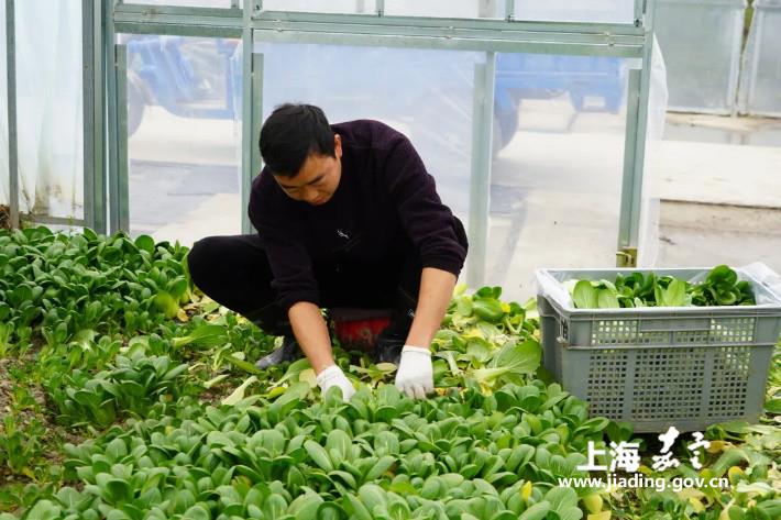 a1c3c932ce7a436fb445e8e705bb1641.jpg a1c3c932ce7a436fb445e8e705bb1641.jpg