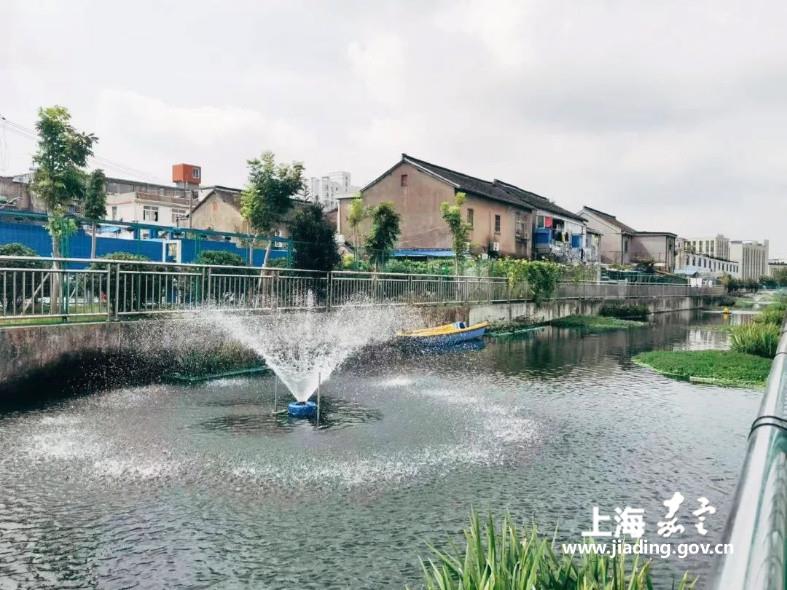 e95dbbe0fc5c4b87bcca058f9beeeeeb.jpg e95dbbe0fc5c4b87bcca058f9beeeeeb.jpg